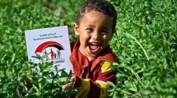 الأسماء الجديدة.. طريقة سهلة للاستعلام عن معاش تكافل وكرامة 2025 عبر الرقم القومي